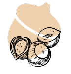 فندق